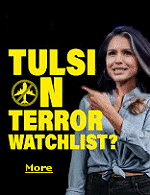 From Tulsi Gabbard: ''Federal air marshal whistleblowers came forward with very disturbing information. They revealed that I had been added to a secret terror watchlist run by the TSA called 'Quiet Skies'. I learned that three air marshals were assigned to watch me every time I traveled in the airport and on the flight. TSA deployed explosive canine detection teams and an explosive specialist. What were they looking for? What kind of threat did they think I posed?''